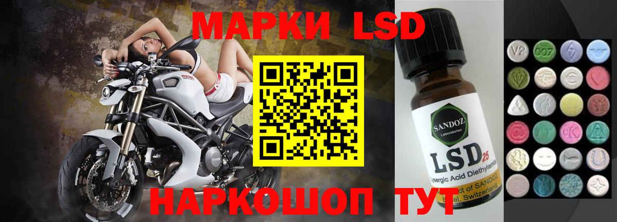 Бердск    tor  Вход с VPN  Лсд 25 экстази ecstasy  Лсд 25 экстази ecstasy 