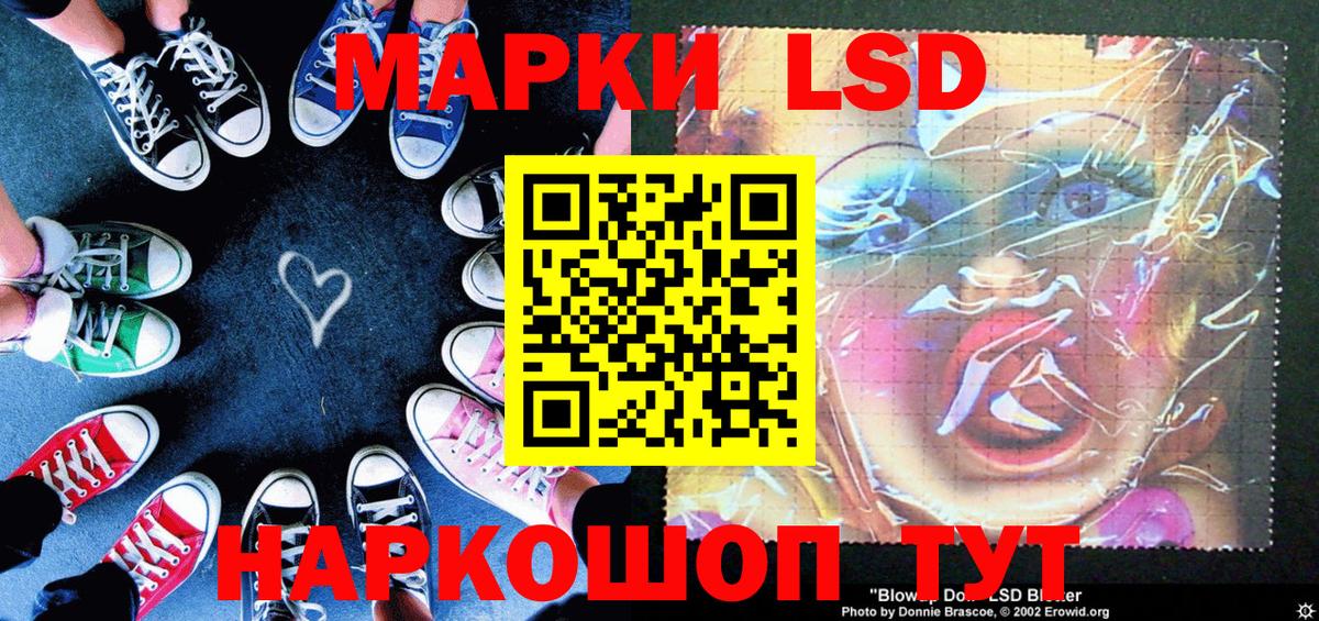 Марки N-bome 1500мкг  Вход с VPN  Марки N-bome 1500мкг  Бердск 