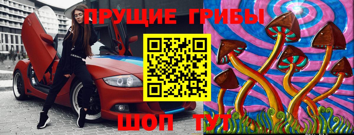 Бердск  Псилоцибиновые грибы мухоморы  Вход с VPN  Псилоцибиновые грибы Cubensis 