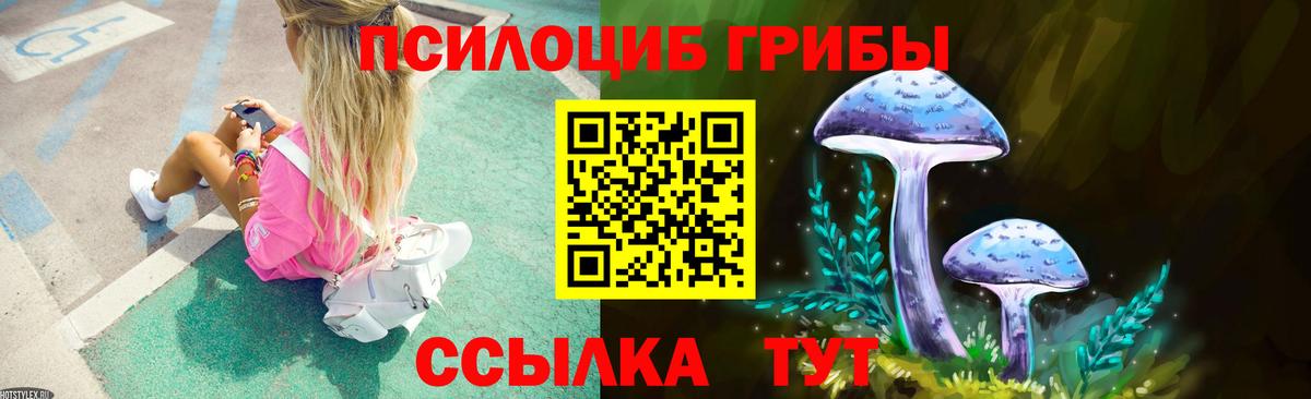 Псилоцибиновые грибы Cubensis Бердск